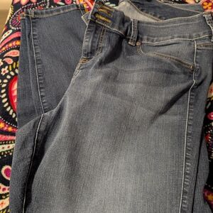 Torrid 18S Dark Blue Women Jeggings